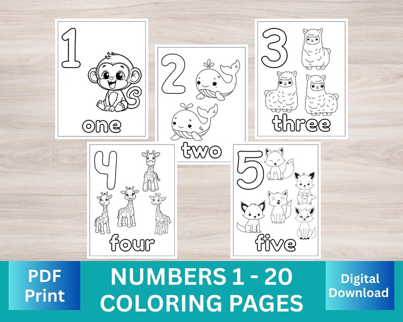 Number Coloring Pages 1-20: Educational Printable for Kids (PDF ...