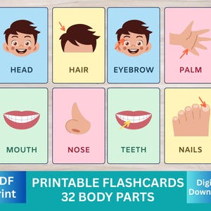 32 Body Parts Flashcards, Printable Montessori Flash Cards, Pre-School Cards Learning, Educational Back to School Nomenclature Activity Toys