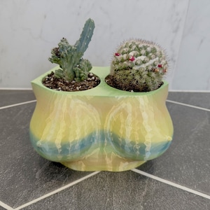 Funny Boob Planter | Handmade 3D Printed Body Plant Pot | Gift for Her | Bachelorette Decor