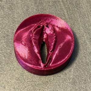 May include: A circular, magenta-coloured object with a detailed, textured design. The object has a central opening and a raised, layered appearance, suggesting a three-dimensional form. The surface has a metallic sheen.