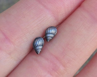Sea Shell Earrings, Snail Earrings, Seashell Stud Earrings, Beach Jewelry, Tiny Jewely, Gift for Girlfriend
