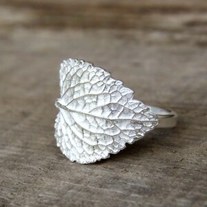 May include: A silver ring with a detailed leaf design. The ring is made of sterling silver and features a realistic leaf shape.