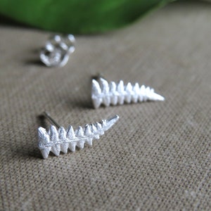 Fern Studs, Fern Earrings, Leaf Studs, Real Leaf Earrings, Real Fern in Silver, Fern Ear Climbers, Fern Jewelry, Gift for Her