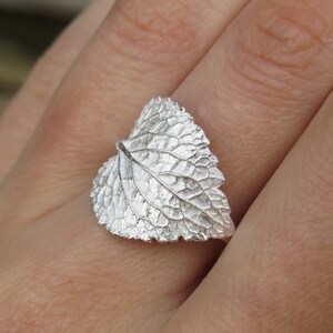 May include: A silver ring featuring a detailed leaf design. The ring is worn on a finger.