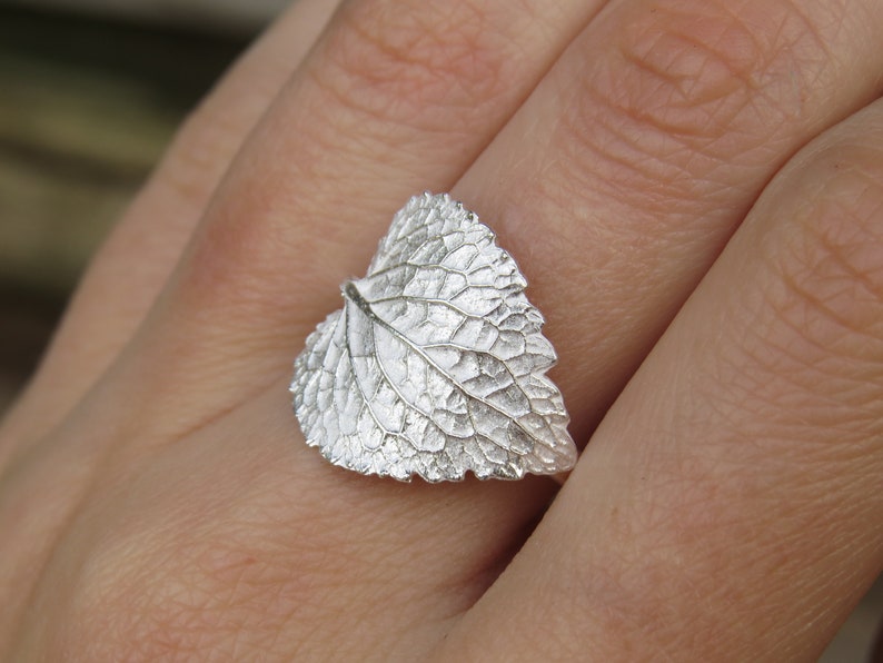 May include: A silver ring featuring a detailed leaf design. The ring is worn on a finger.