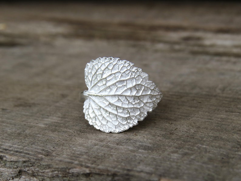 May include: A silver ring shaped like a leaf with detailed veins.