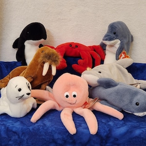 May include: A collection of plush sea animal toys, including a pink octopus, a gray shark, a white seal, a brown walrus, a black and white orca, a red crab, and two gray dolphins.
