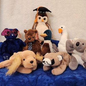 May include: A collection of nine plush toys, including a brown bear wearing a blue and white polka dot tie, a blue owl wearing a graduation cap, a white goose, a gray koala, a brown raccoon, a brown duck, and a brown and white dog.
