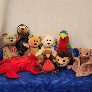 May include: A collection of nine colorful beanie baby plush toys, including a sloth, a bear, a fox, a white bear, a robin, a hedgehog, a bat, a parrot, and a crab.