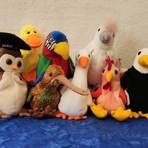 May include: A collection of plush bird toys, including an owl wearing a graduation cap, a duck, a parrot, a kiwi, a goose, a cockatoo, a chicken, and an eagle. The toys are in various colors and sit on a blue surface.