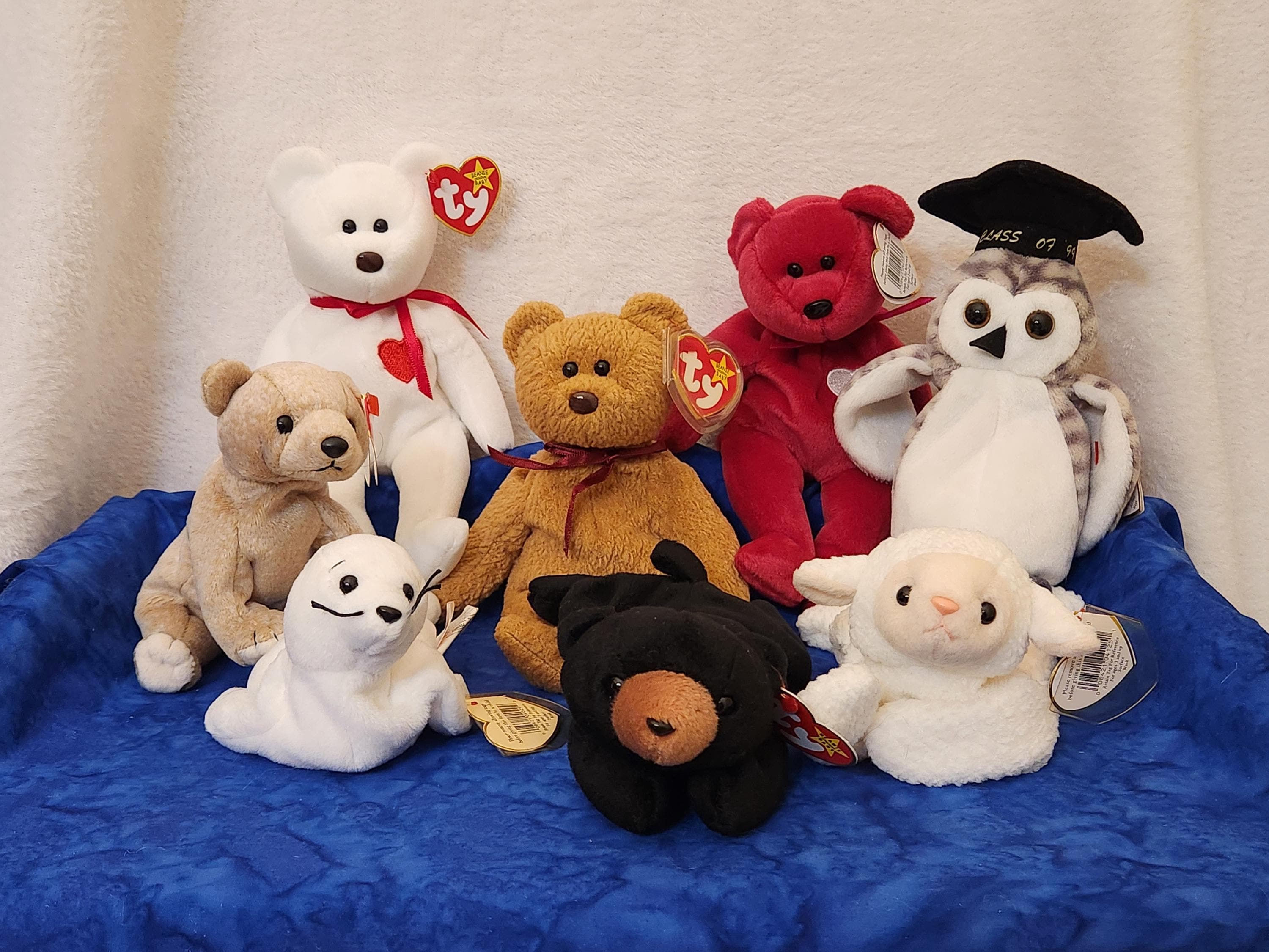 Beanie Baby Fleece the Sheep Wiser the Owl Seamore the Seal or Beanie Baby Bear Valentino Valentina 