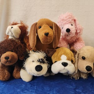 May include: A collection of plush dog toys in various breeds and colors. The stuffed animals include a brown dachshund, a pink poodle, and several other dogs with brown, white, and black fur. They are arranged on a blue surface.