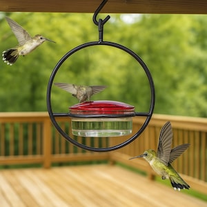 Bold Hummingbird Feeder by Hummble, Vibrant Durable Outdoor Decor to Attract Hummingbirds, Perfect Garden and Nature Lover Gift