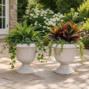 May include: Two white, pedestal-style planters filled with greenery. One features a lush green fern and ivy, the other showcases a colorful plant with red, yellow, and green leaves. The planters are on a stone patio.