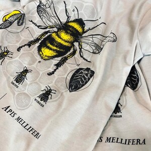 May include: A close-up of a gray t-shirt with a black and yellow bee illustration. The bee is labeled with anatomical terms and the text "Apis mellifera".