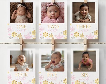 Winter ONEderland Monthly Photo Banner, Girl First Birthday Party Decor, Pink Snowflake Winter Wonderland Decorations