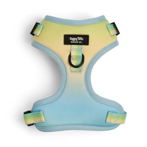 Pastel Breeze Dog Harness – Adjustable, Lightweight, & Durable | XXS–L Sizes | Ombre