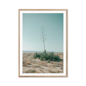 Fotografie einer Küstenlandschaft mit Kakteenbäumen. Mittelmeer Ozean. Original Art Foto-Plakat für Wanddekor.