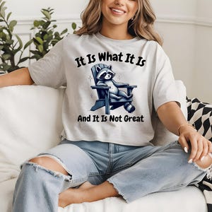 It Is What It Is And It Is Not Great Shirt, Funny Raccoon Shirt, Meme Shirt, Y2k Shirt, Retro Meme Shirt, Funny Saying T-shirt