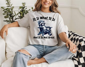 It Is What It Is And It Is Not Great Shirt, Funny Raccoon Shirt, Meme Shirt, Y2k Shirt, Retro Meme Shirt, Funny Saying T-shirt