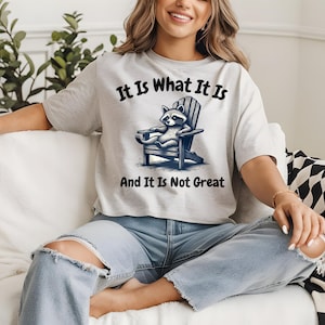 It Is What It Is And It Is Not Great Shirt, Funny Raccoon Shirt, Meme Shirt, Y2k Shirt, Retro Meme Shirt, Funny Saying T-shirt