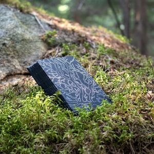 Cartas del Oráculo de Glowwood: una baraja de ecología forestal inspirada en la naturaleza para la adivinación, la conversación y el juego.