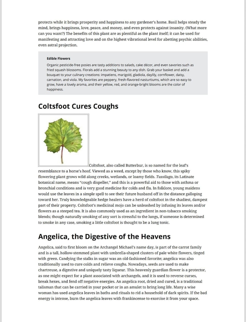 May include: Coltsfoot, also known as Butterbur, is a flowering plant with spiky leaves that resemble a horse's hoof. It is used to treat coughs and asthma. The plant is shown growing wild along a creek.