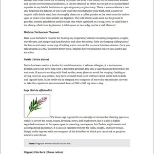 May include: A page from a book with information about milk thistle, mullein, nettle, and sage. The page includes a small illustration of a sage plant with green leaves and purple flowers.