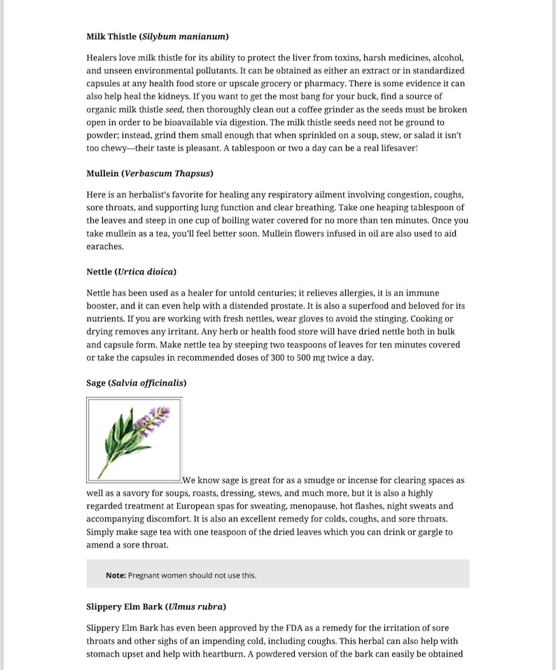 May include: A page from a book with information about milk thistle, mullein, nettle, and sage. The page includes a small illustration of a sage plant with green leaves and purple flowers.