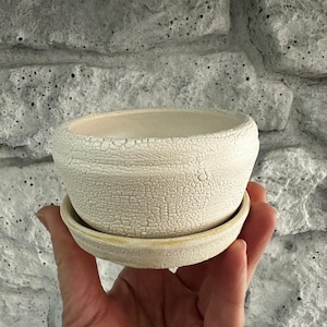 May include: A small, off-white ceramic planter with a matching saucer. The planter has a textured, crackled surface. The round pot sits on a round saucer. The planter is held in a hand.