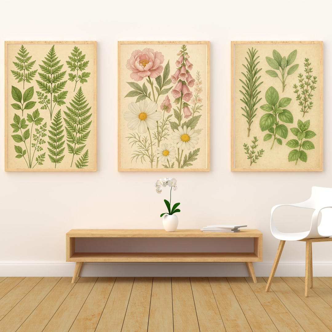 Vintage Botanical Print Set of 3 | Wildflower & Herb Wall Art, Neutral ...