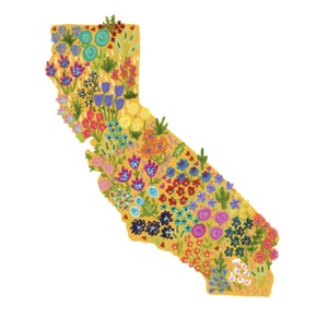 California Wall Art. California Wildflowers Art. California Gift Idea. Colorful California Wall Print. California Blooms. California Love.