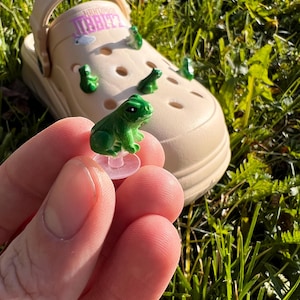 Op de afbeelding: Een groene kikkerbedel met een roze basis, vastgehouden in een hand. De kikkerbedel is een populair accessoire om schoenen te personaliseren.