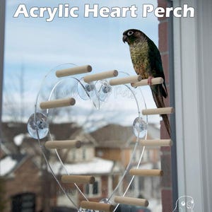 Heart Shaped Bird Window Perch: Acrylic & Wood Parrot Toy. Optional Ladder and Tray