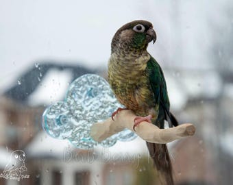 Hand Carved Wood Parrot Window Perch with Cloud Shaped Textured Acrylic Base