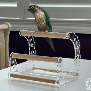 May include: A clear acrylic bird perch with wooden dowels and star-shaped cutouts. A green and brown parrot is perched on the top dowel. The perch is designed for small birds and is suitable for a cage or play area.