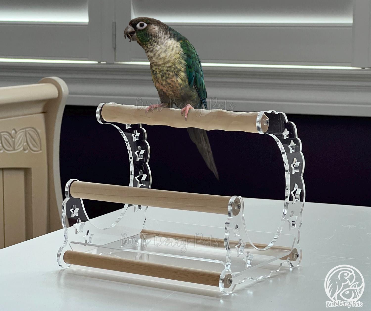 Bird playground - Etsy 日本