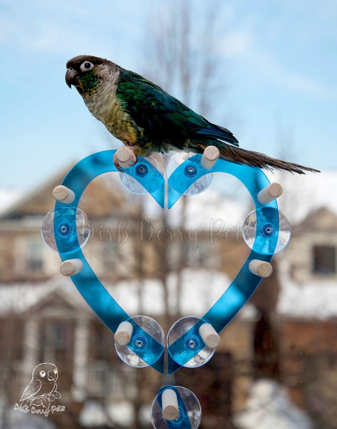 Curated visual reference: Gallery Detail: Heart Shaped Bird Window Perch Blue Acrylic Parrot Toy Optional