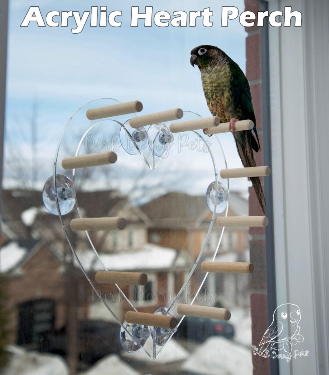 Photo inspiration: Bird Windows Perch For Macaw Online Reference: Heart Shaped Bird Window Perch Acrylic Wood Parrot Toy Optional