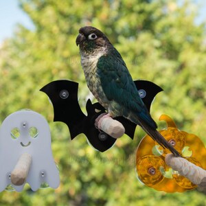May include: A green cheek conure perched on a wooden perch attached to a black bat-shaped bird toy. A white ghost-shaped toy and an orange pumpkin-shaped toy are also visible. The background is a blurred view of green foliage.