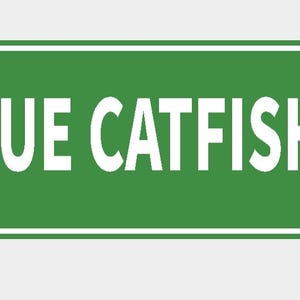 May include: A rectangular green street sign with white text that reads "BLUE CATFISH DR". The sign has a white border and is mounted with two silver rivets.