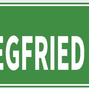 Pode incluir: Uma placa de rua verde com o texto branco "SIEGFRIED DR". A placa tem uma borda branca e é fixada com dois rebites. A placa é retangular.