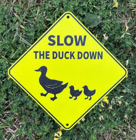 Duckling Lettering