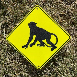 Pode incluir: Sinal de trânsito amarelo em forma de losango com uma silhueta preta de um macaco. O sinal tem uma borda preta e está sobre a grama. O macaco é retratado em posição de rastejar.
