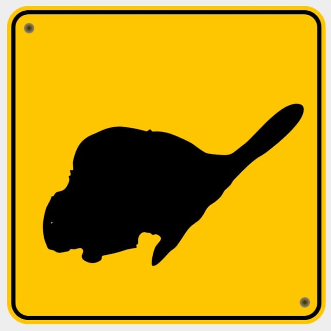 Beaver Zone Diamond Sign Crossing Animal Xing Road Caution Sign in ...