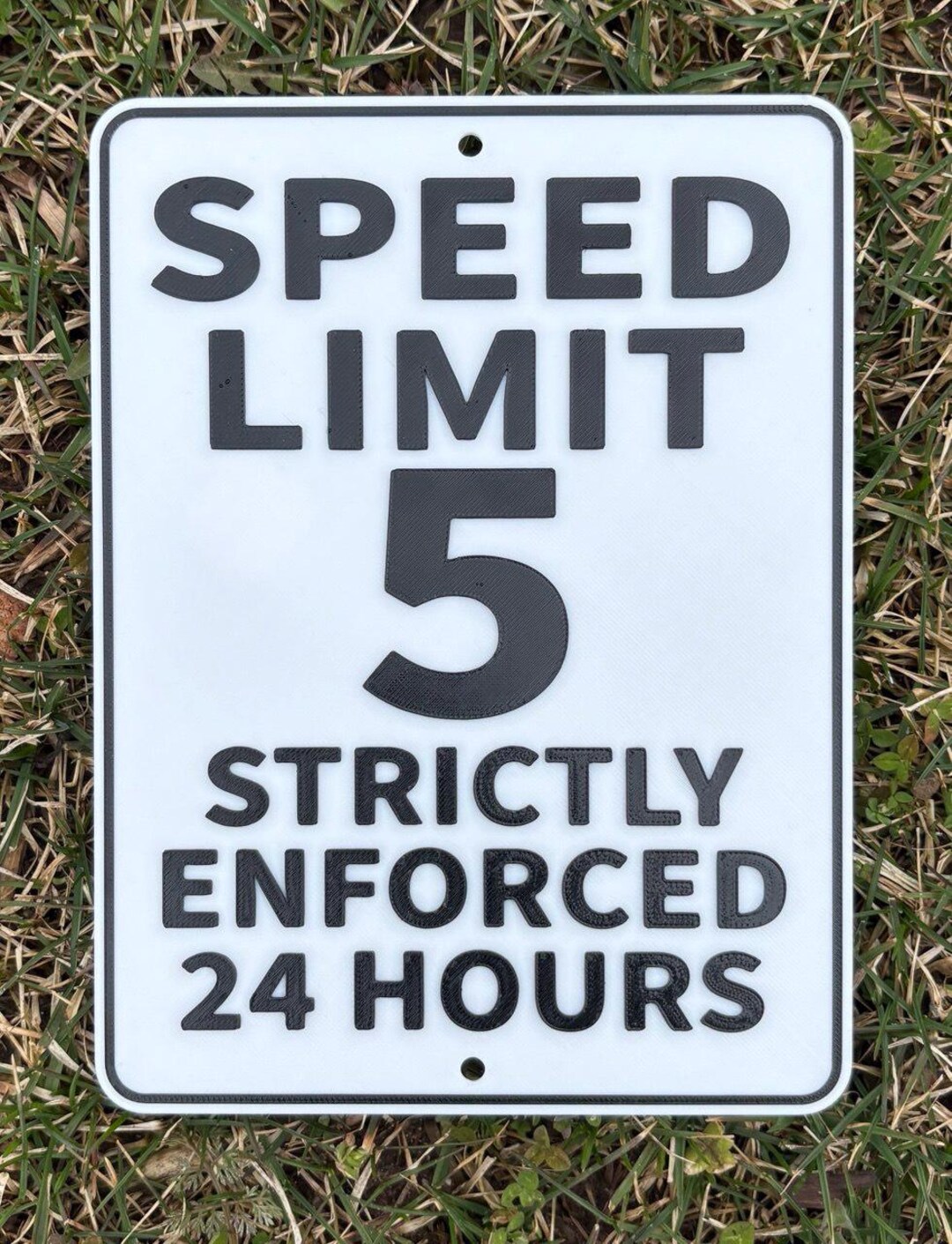 Speed Limit 5 Mph Strictly Enforced 24 Hours Sign Vibrant White With ...