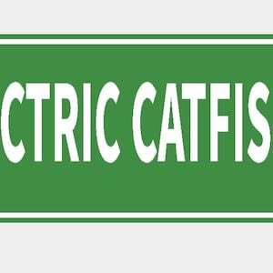 May include: A green street sign with white text reading "ELECTRIC CATFISH DR". The sign has a white border and is fixed with two silver rivets. The sign is rectangular with rounded corners.