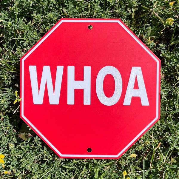 Whoa Stop-Traffic-Road-Wanddekor-Neuheits-Straßenschild in lebhaftem Rot mit weißer Beschriftung gut sichtbarer Innen-Außenbereich anpassbar