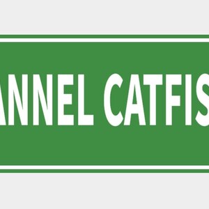 May include: A green street sign with white text reading "CHANNEL CATFISH DR". The sign has a white border and rounded corners. The text is in a bold, sans-serif font.