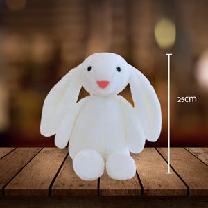 Personalisiertes gesticktes Häschen - Individuell angefertigtes Monogramm Häschen-Plüschtier - Weiches Stofftier-Geschenk für Baby, Kleinkind oder den Osterkorb
